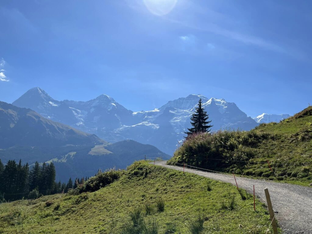 hiking path swiss alps