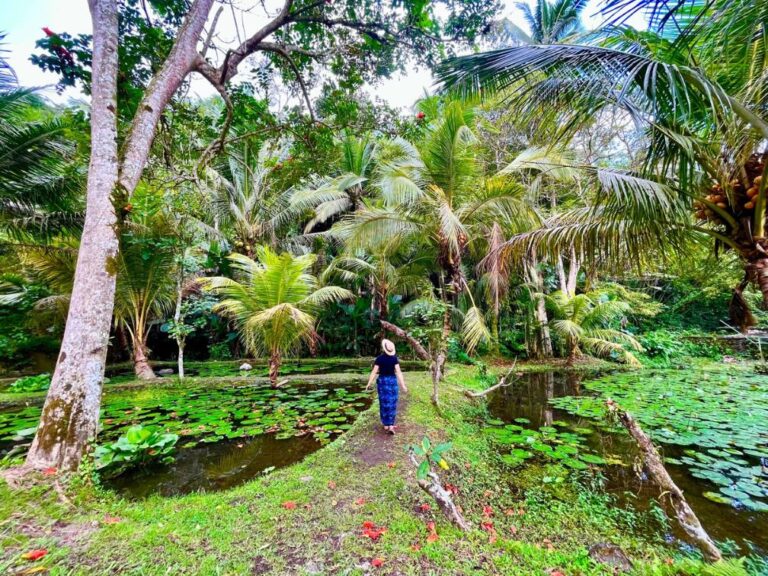 walking through the rice terraces