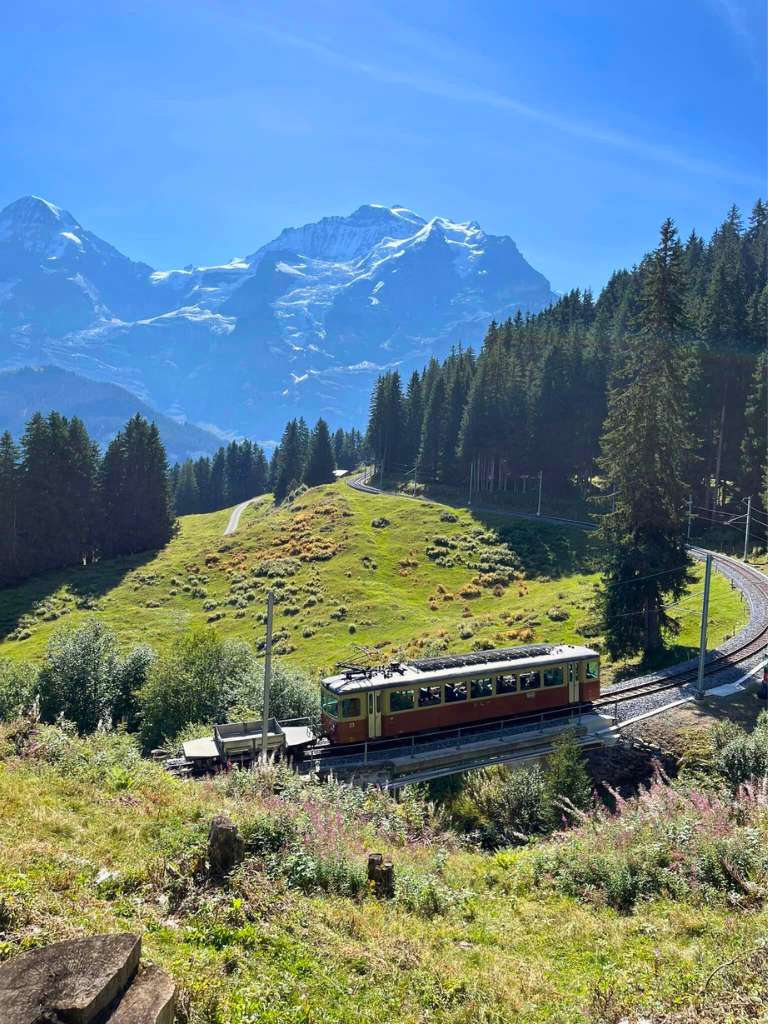 cable car going through valley with swiss alps in distance