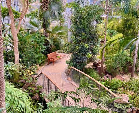 Foot bridge in garden Foot bridge in palmengarten