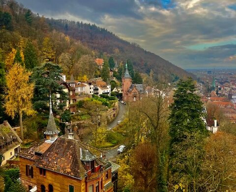 View from heidelberg castle