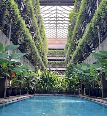 Pool at Greenhost Hotel in Yogyakarta Pool at Greenhost Hotel in Yogyakarta