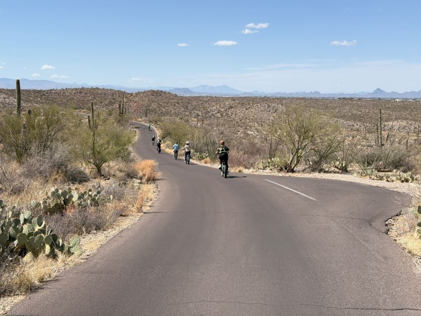 Saguaro national park bike tour