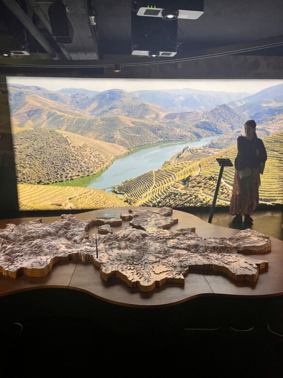 Map inside calem museum Map inside calem museum