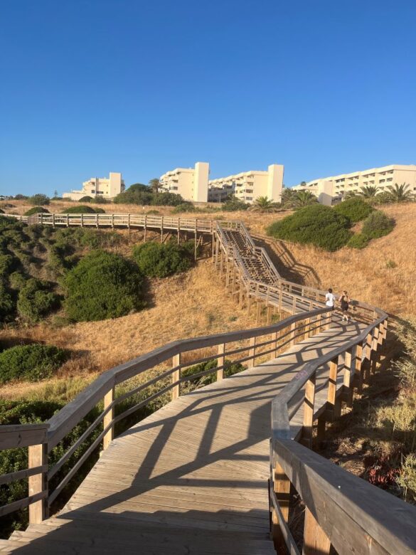 First section of the boardwalk