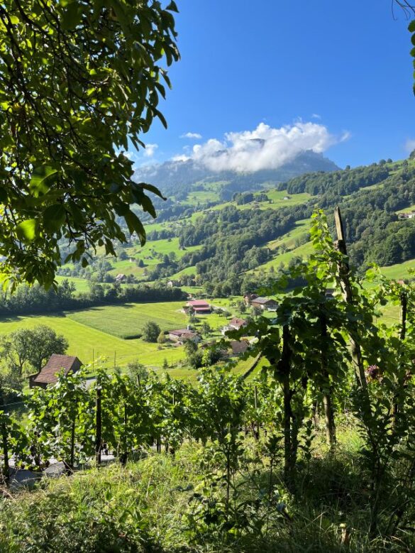 View around Grapplang Castle View around Grapplang Castle