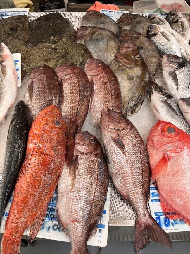 Fish in Matosinhos market