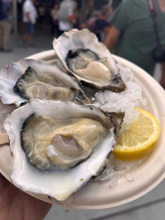 oysters at bolhao market