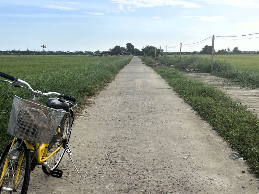 Path in rice fields in Hoi An
