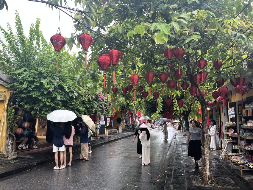 Red lanterns hanging from trees in Hoi An